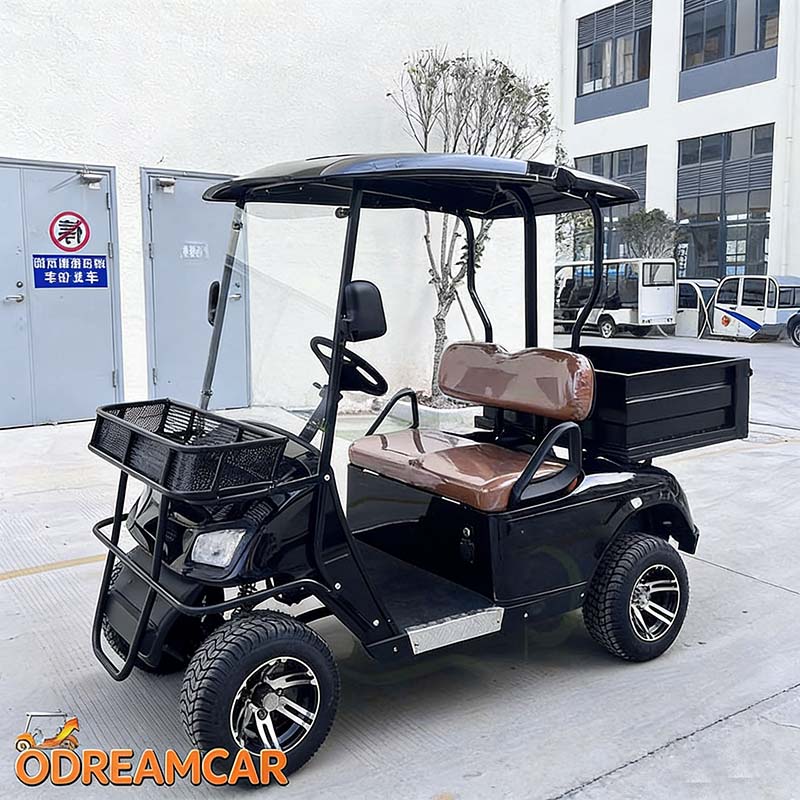 2 Seater Utility Golf Cart (5)