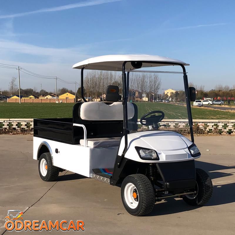 2 Seater Utility Golf Cart with Carriage (1)