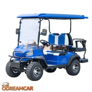 2+2 Seater Gas Powered Golf Carts (1)
