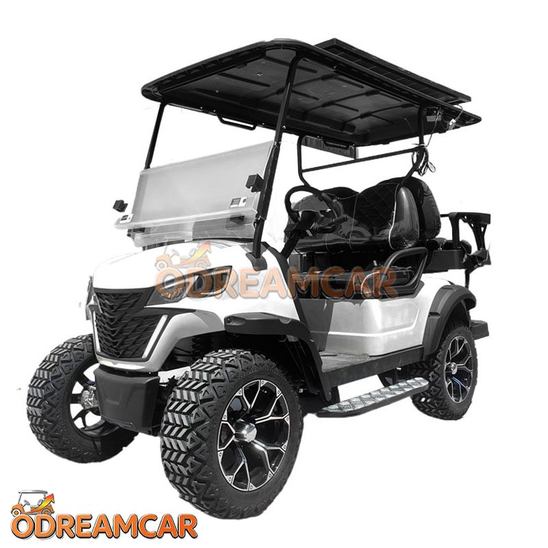 2+2 Seater Wholesale Electric Golf Cart (1)