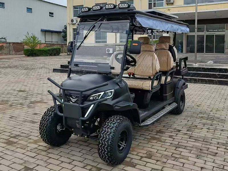 4+2 Black Golf Cart with Headrest