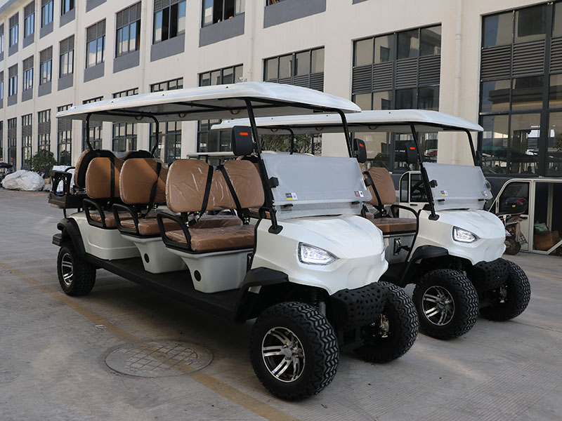 6+2 seat petrol golf cart