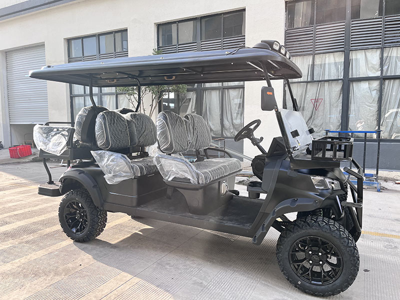 Model C 6-seater gasoline golf cart
