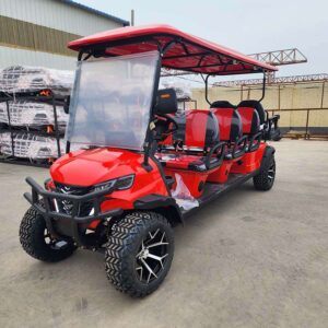 8 Passenger Electric Golf Cart (1)